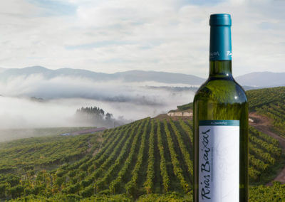 52 Weeks of Albariño!