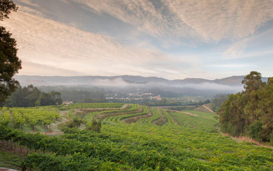 Spring has Sprung in Rías Baixas