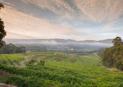 Spring has Sprung in Rías Baixas