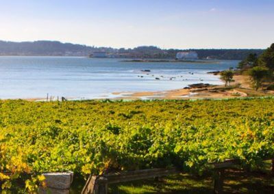 Do Summer Right – Make It an Albariño Weekend