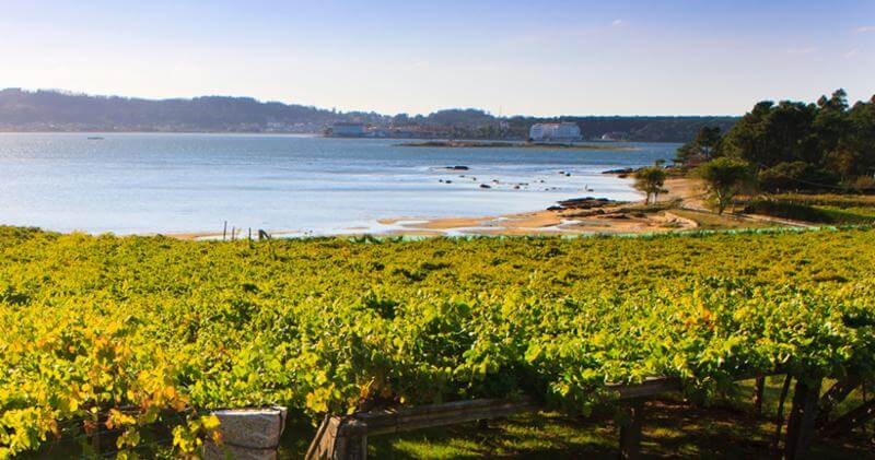 Do Summer Right – Make It an Albariño Weekend