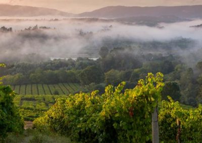 Enjoying fall? Rías Baixas certainly is.