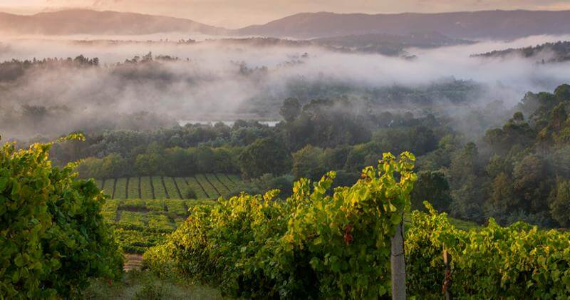 Enjoying fall? Rías Baixas certainly is.
