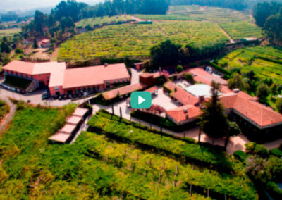 Dive into Rías Baixas with GuildSomm and Representatives of the Region