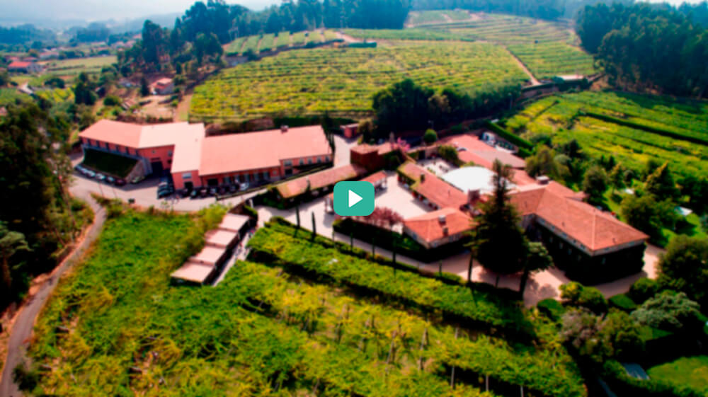 Dive into Rías Baixas with GuildSomm and Representatives of the Region