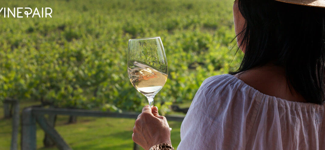 Wine Survey Reveals