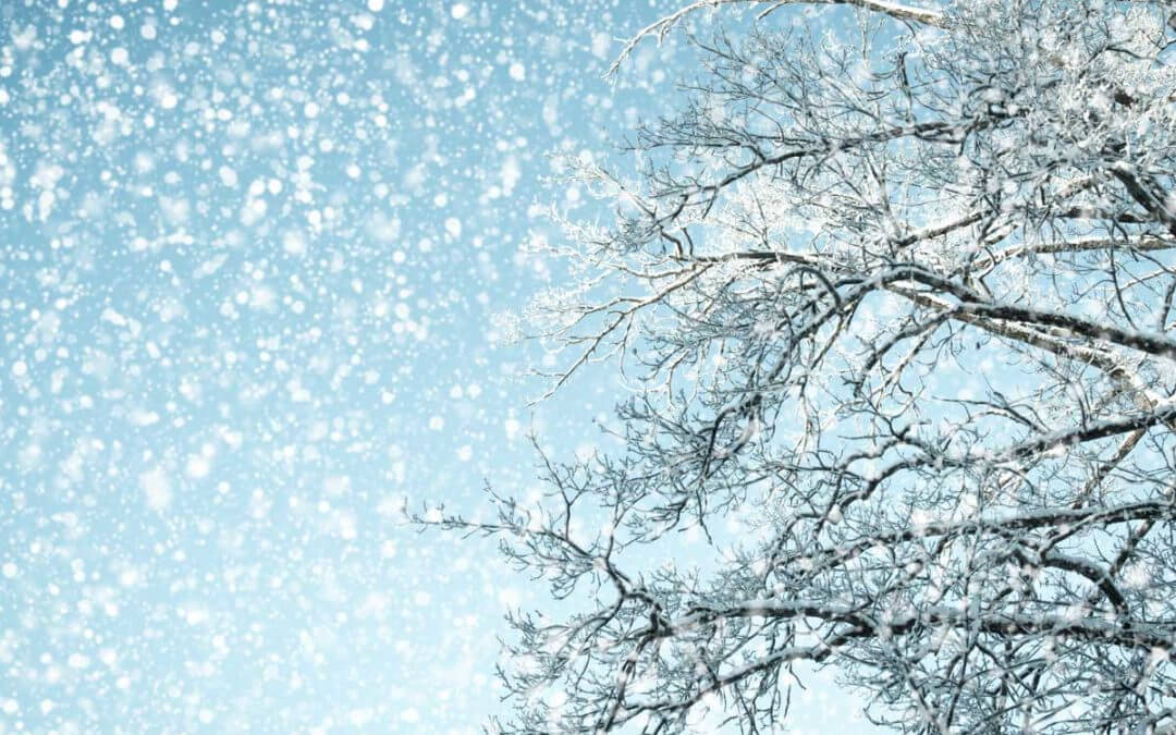 Making a Case for Winter Whites