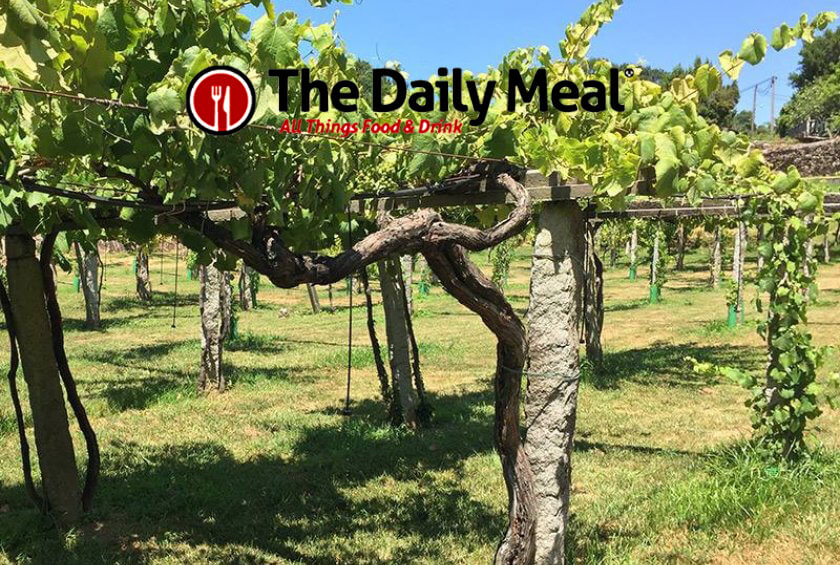 The Daily Meal says try Albarino instead of Chardonnay