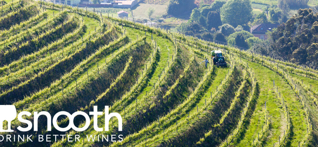 Snooth’s Journey to the Heart of Rías Baixas